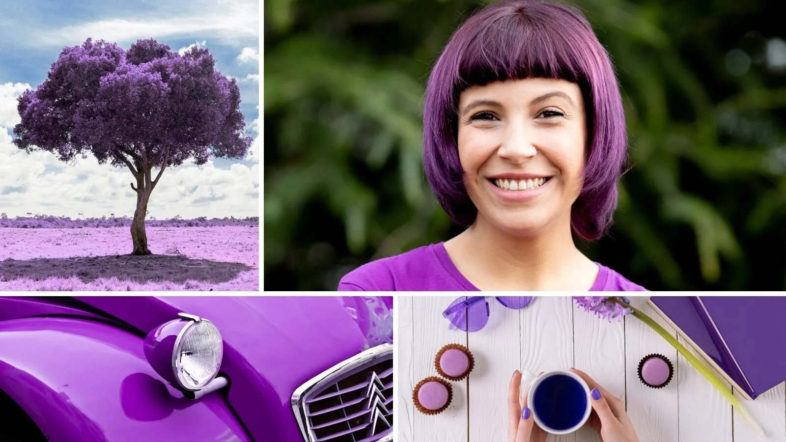 Collage med foto med innslag av lilla. Laga i Canva.