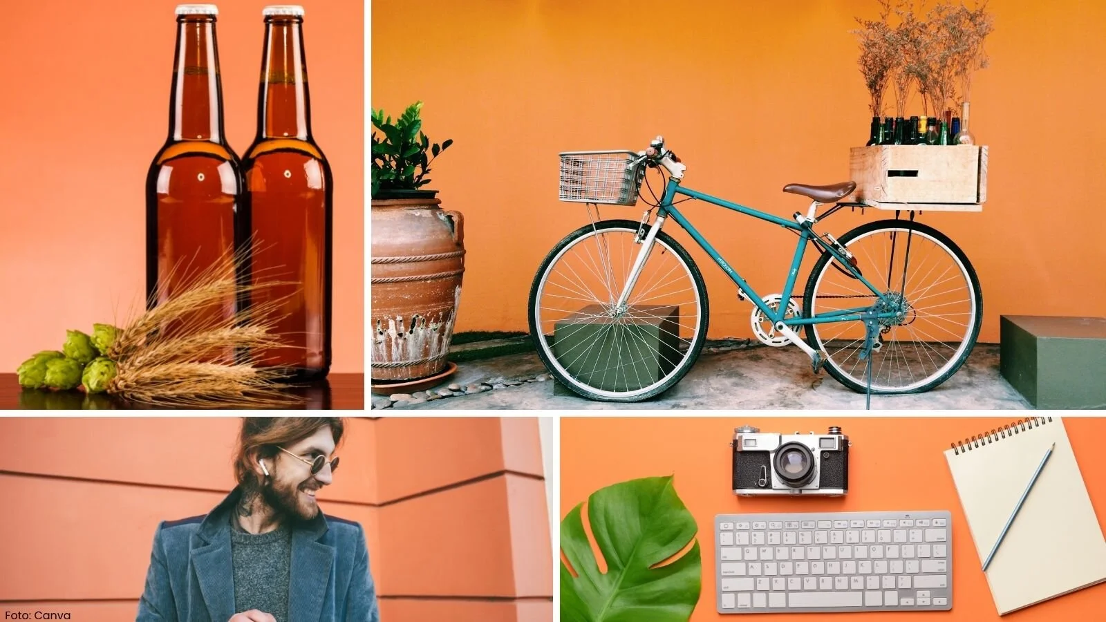 Collage av bilde med orange som bakgrunnsfarge. Laga i Canva.