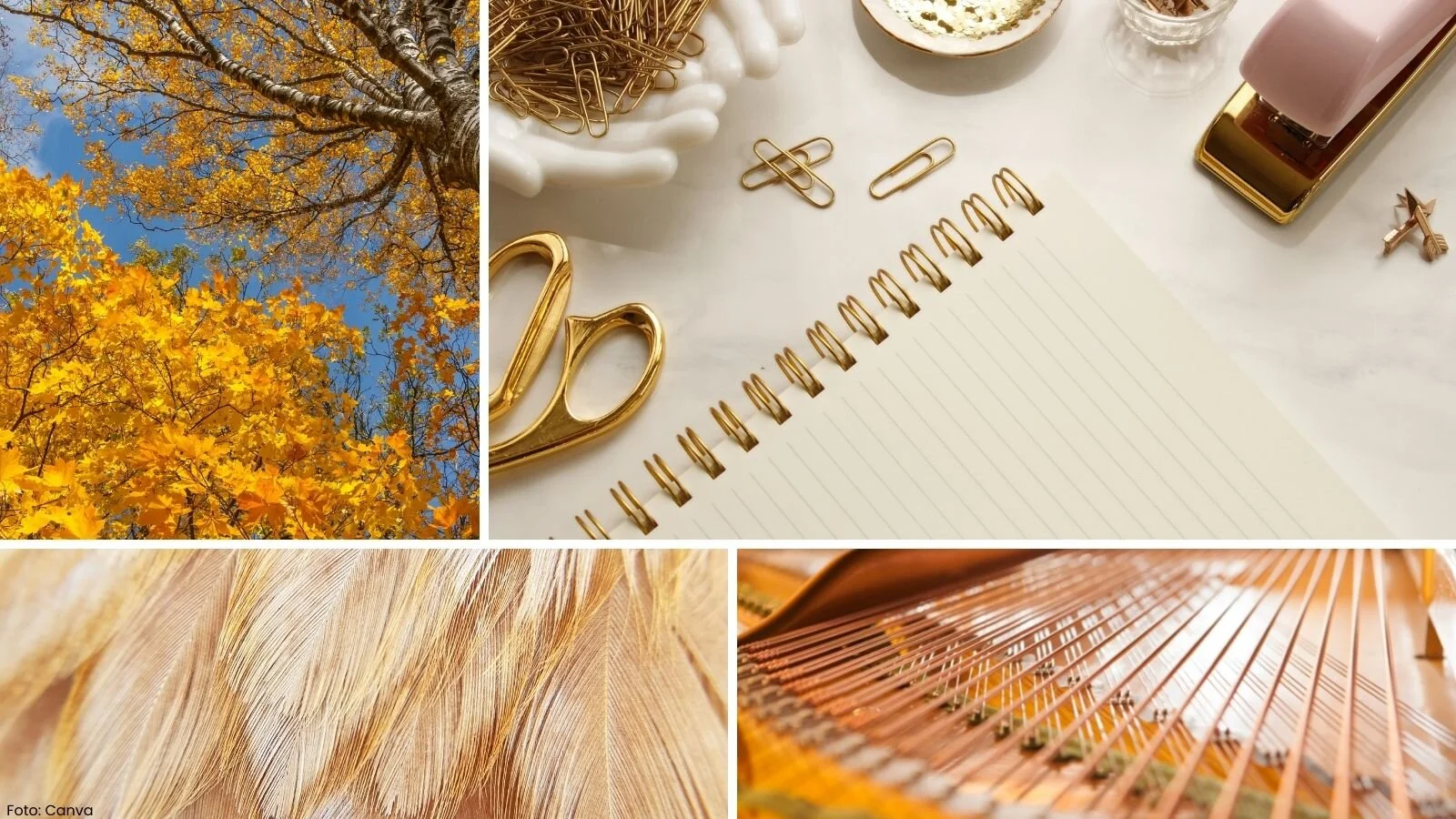 Collage av foto med gyldne fargar. Laga i Canva