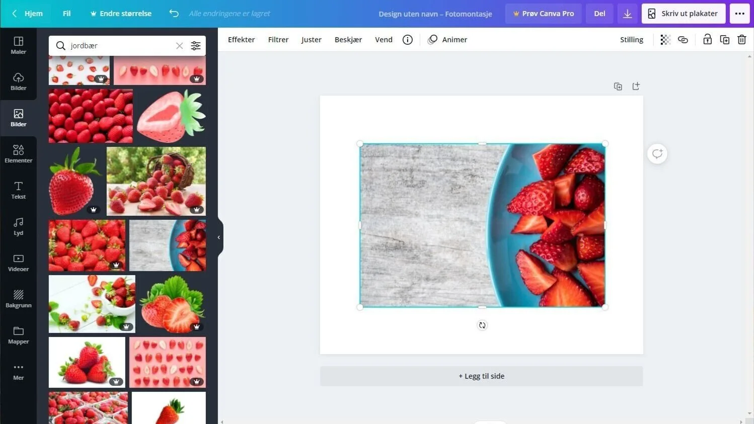 Skjermdump frå Canva. Viser søk etter bilde av jordbær.  Foto av jordbær: Jessica Lewis