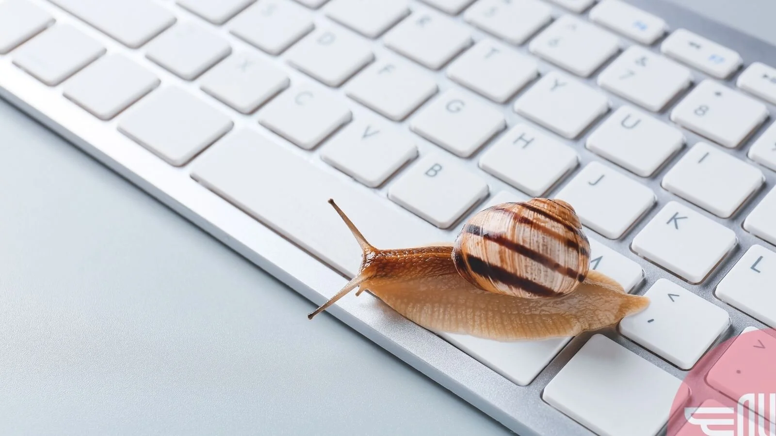 Beste praksis for bilde i Squarespace