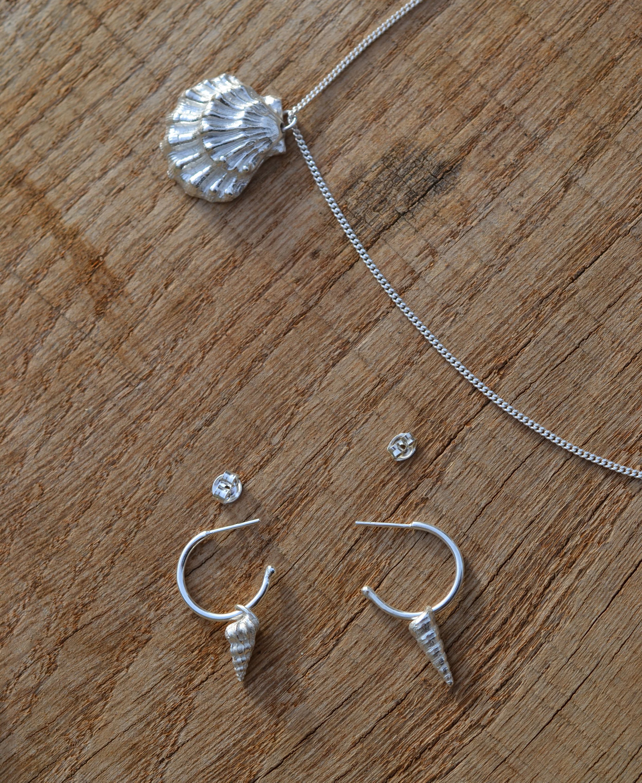 Sea Shell collection 1.jpg