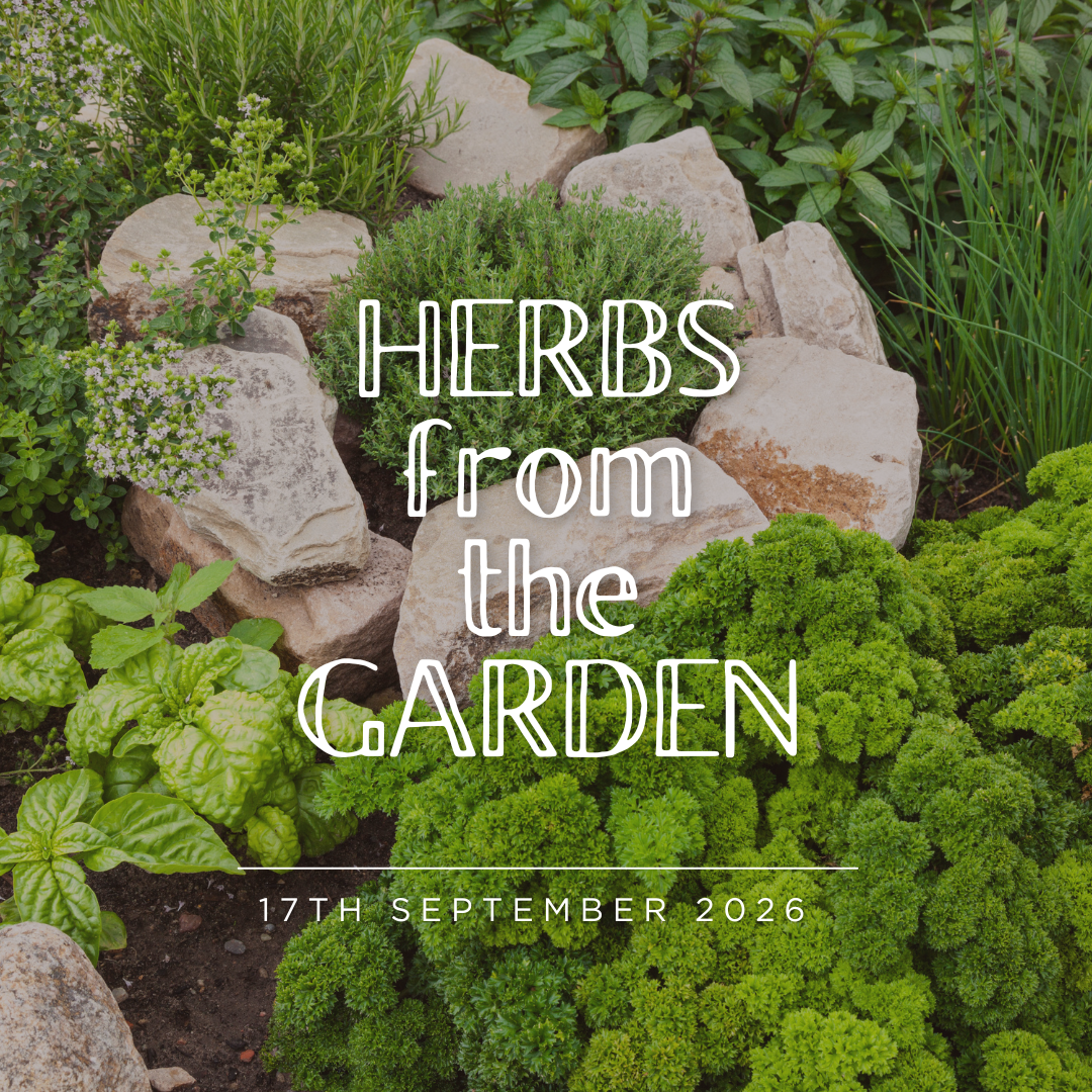Herbs from the Garden