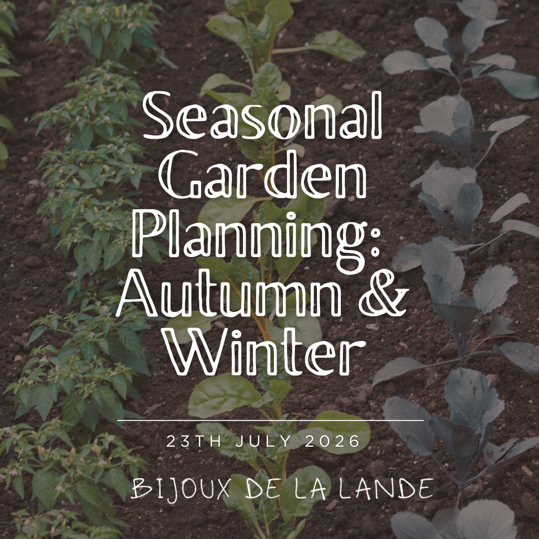 Plan Your Autumn & Winter Vegetable Garden - 23/7