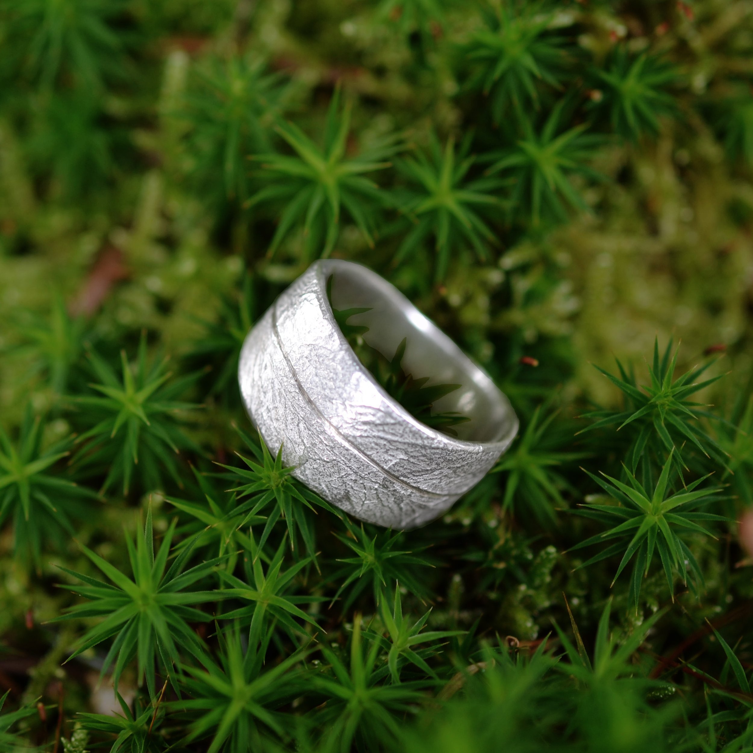 breed olijfblad ring 8.jpg
