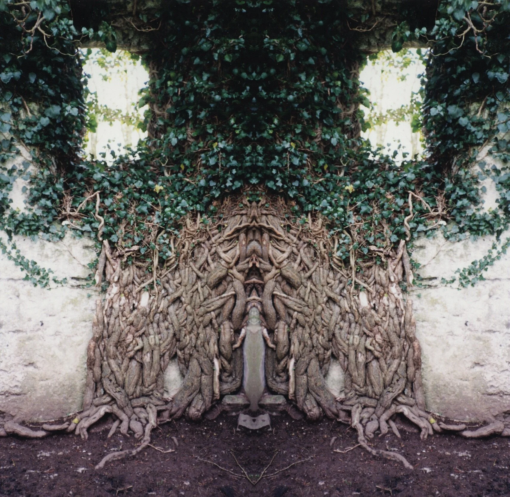 goddess tree copy.jpg