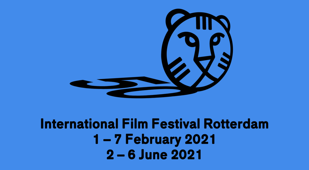 Film Fest Report