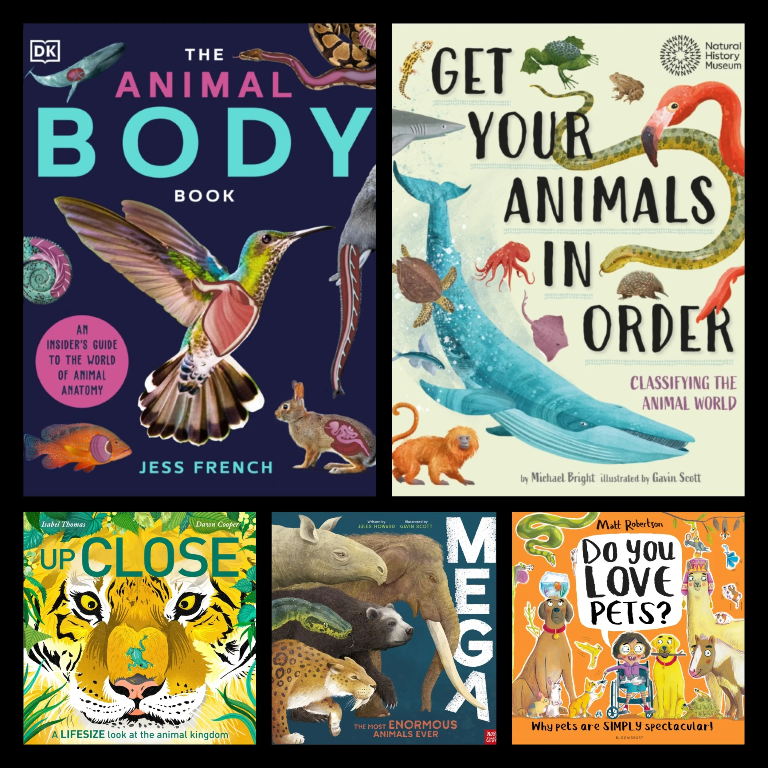 Animals ~ KS2