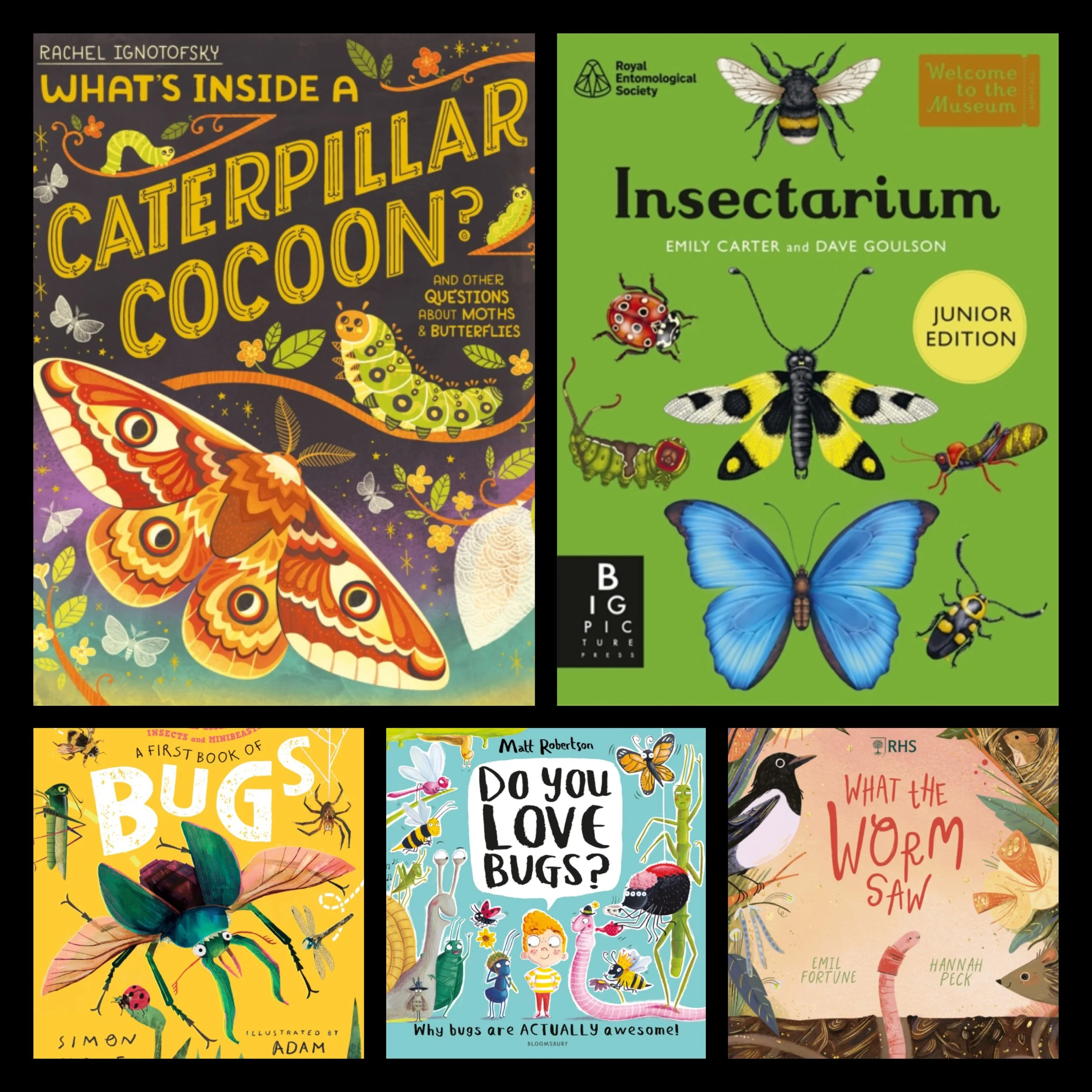 Minibeasts ~ KS1