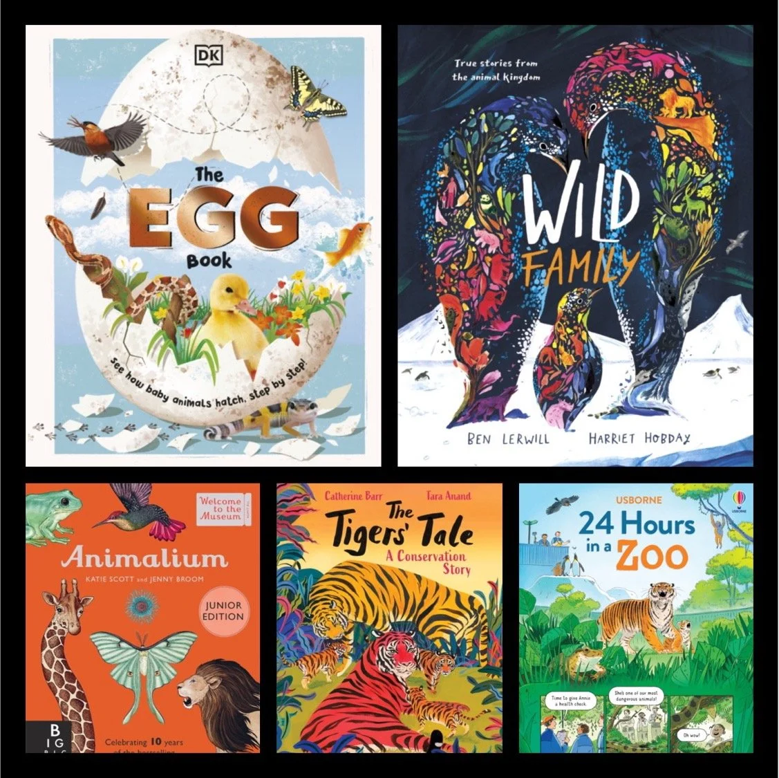 Non Fiction Books for Schools