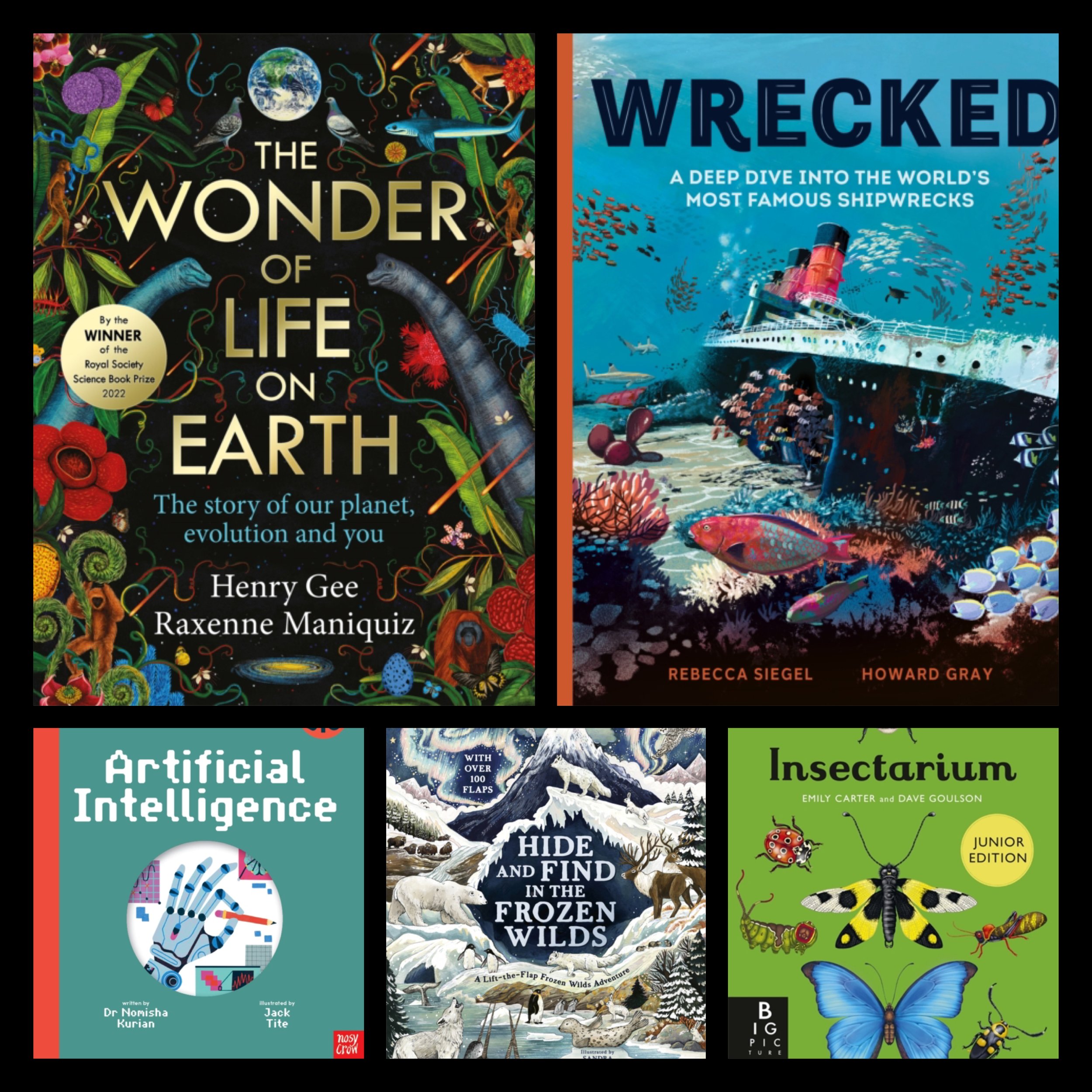 Book Launch: February 2026 ~ Primary Non Fiction