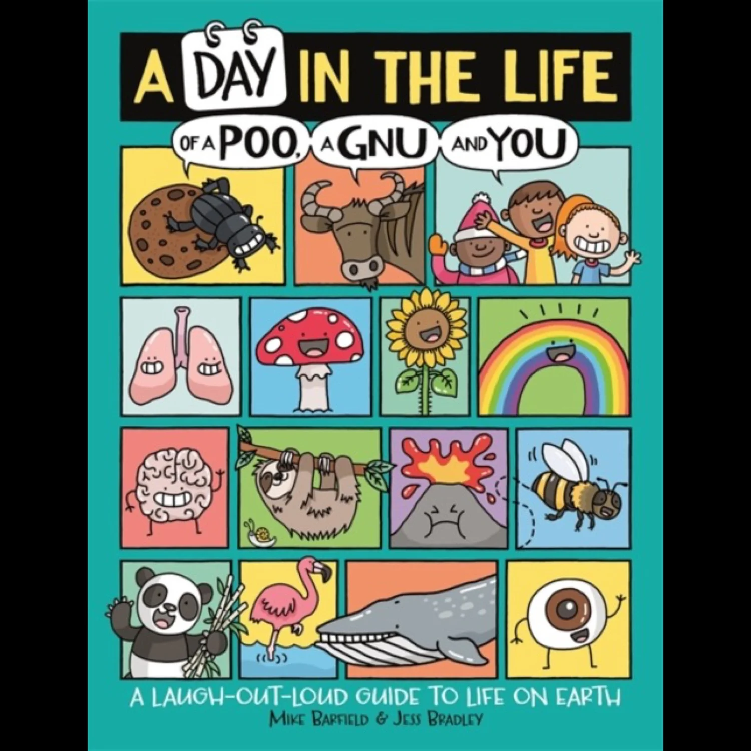 topic-books-for-primary-school-classrooms-and-libraries-chestnut-books