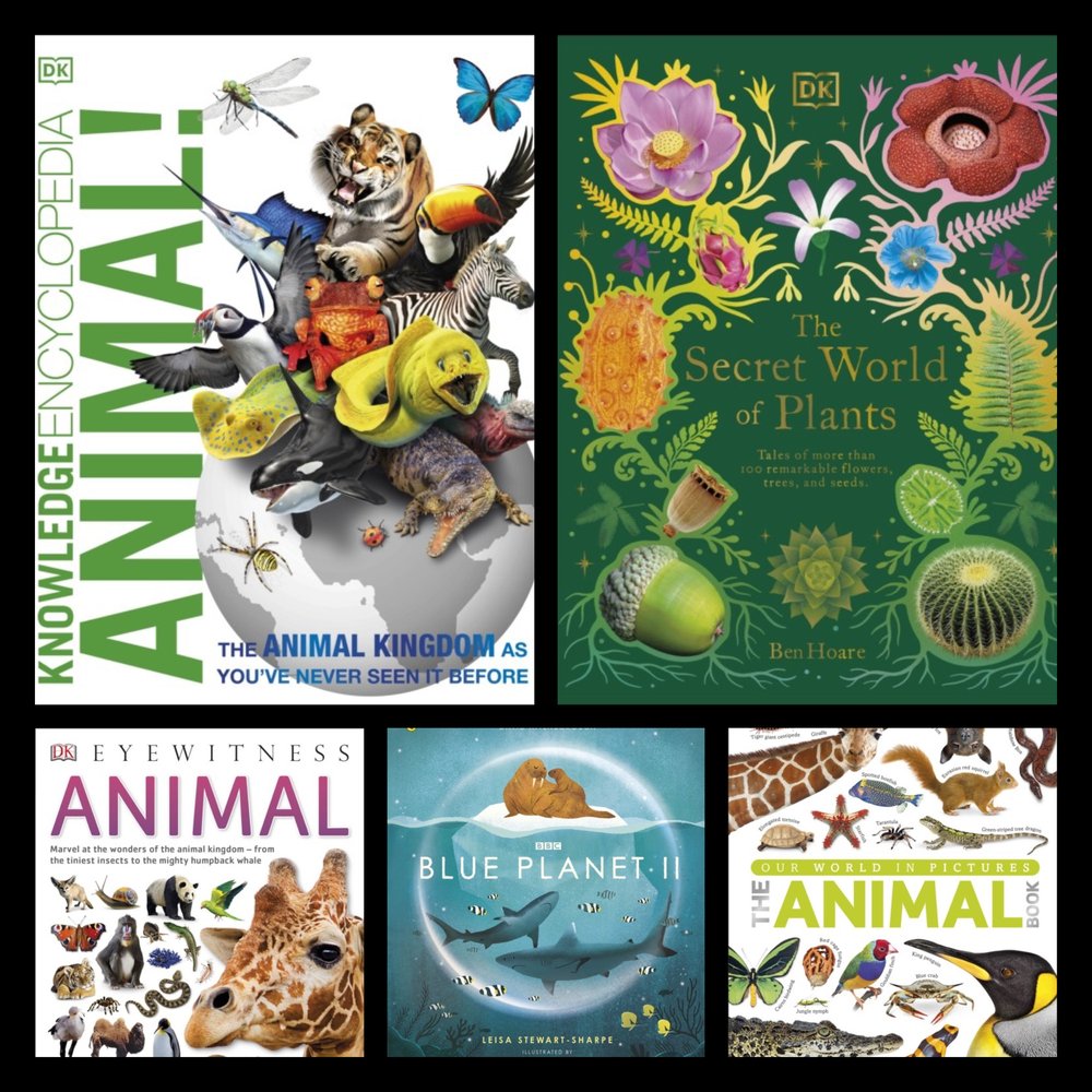 Living Things and their Habitats ~ UKS2 — Chestnut Books