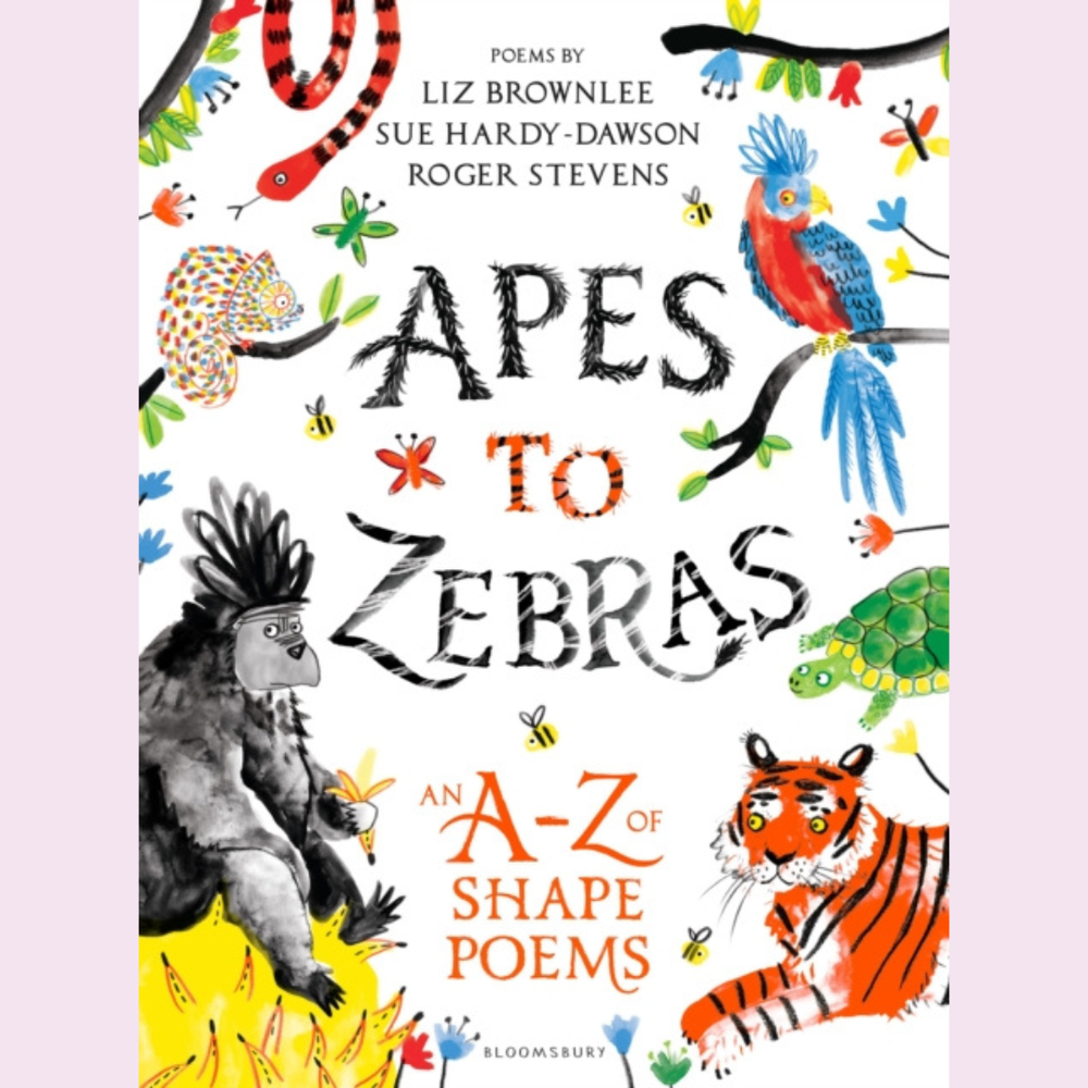 Zebra Class The Explorer by Katherine Rundell — Chestnut Books