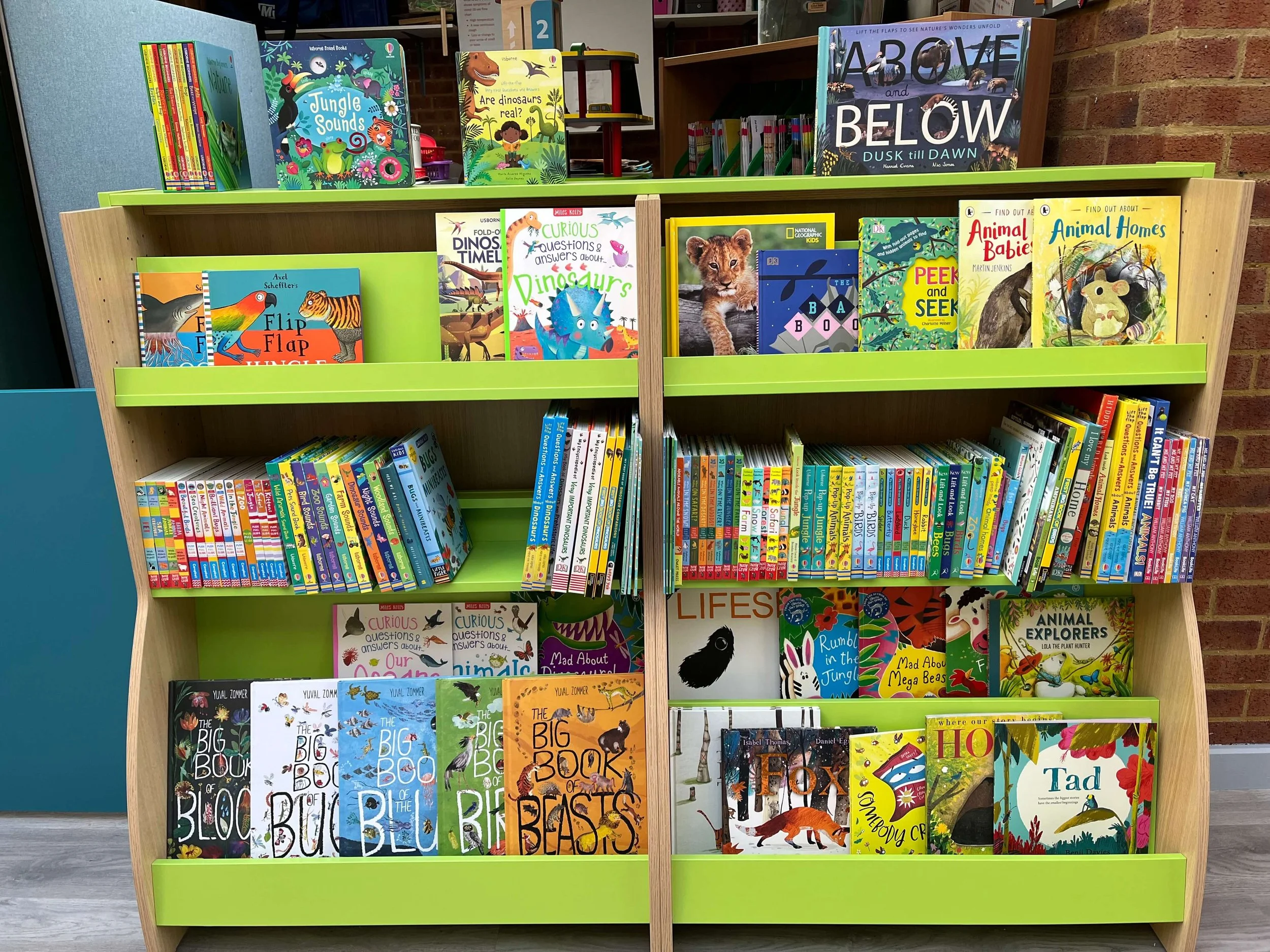 Non Fiction books organised in to topics for EYFS (Reception and Nursery) in their dedicated new school library. High quality, modern and diverse books provided at competitive prices by Chestnut Books. 