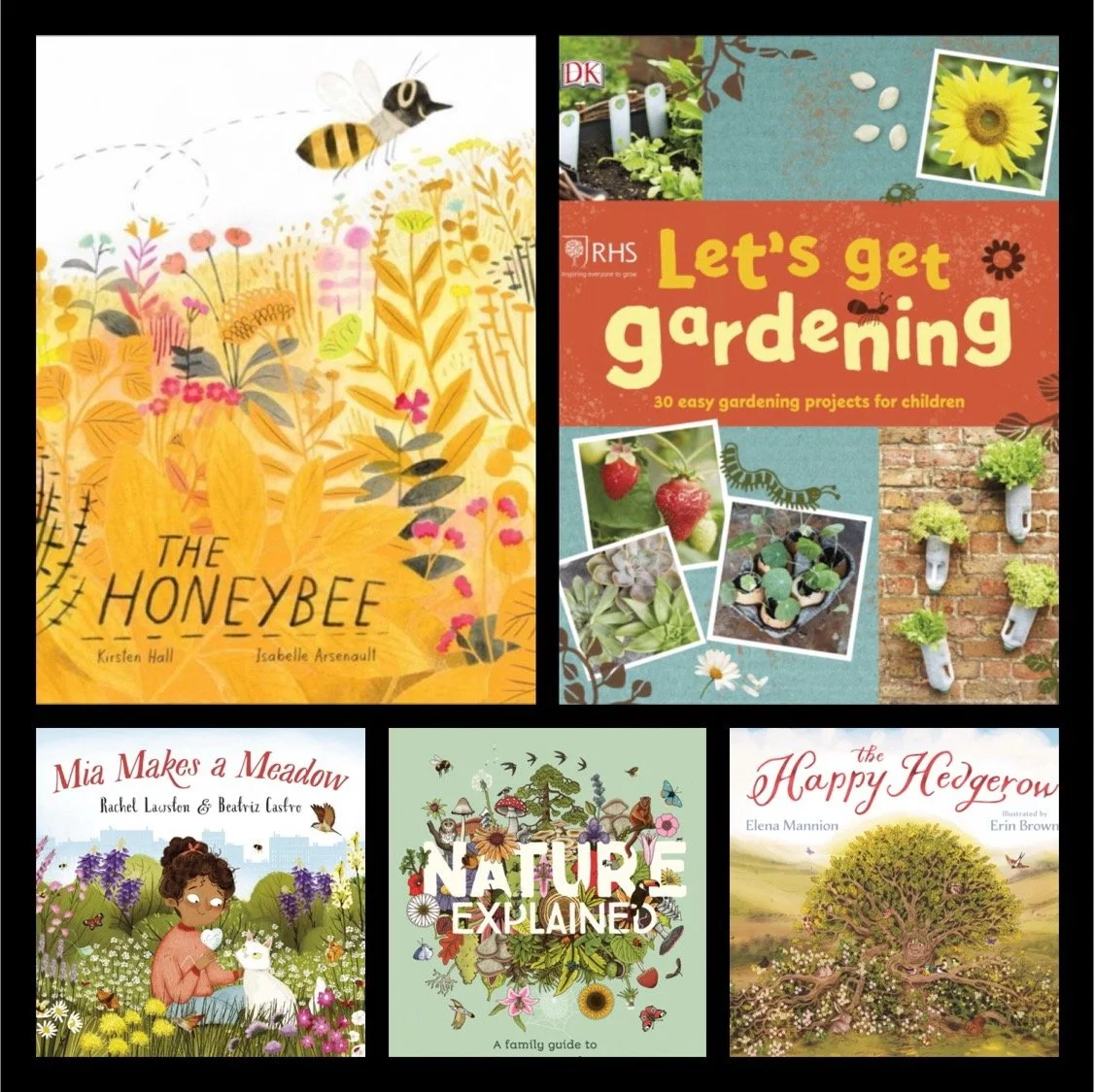 Plants Topic Books KS2