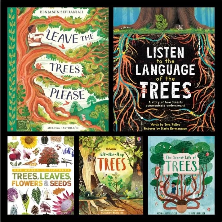 Plants Topic Books KS2
