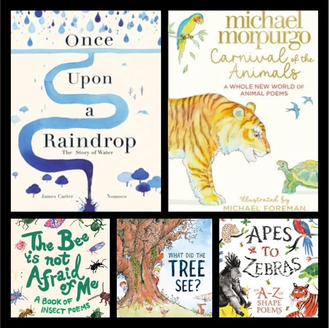 Year 1 and 2 Poetry Books