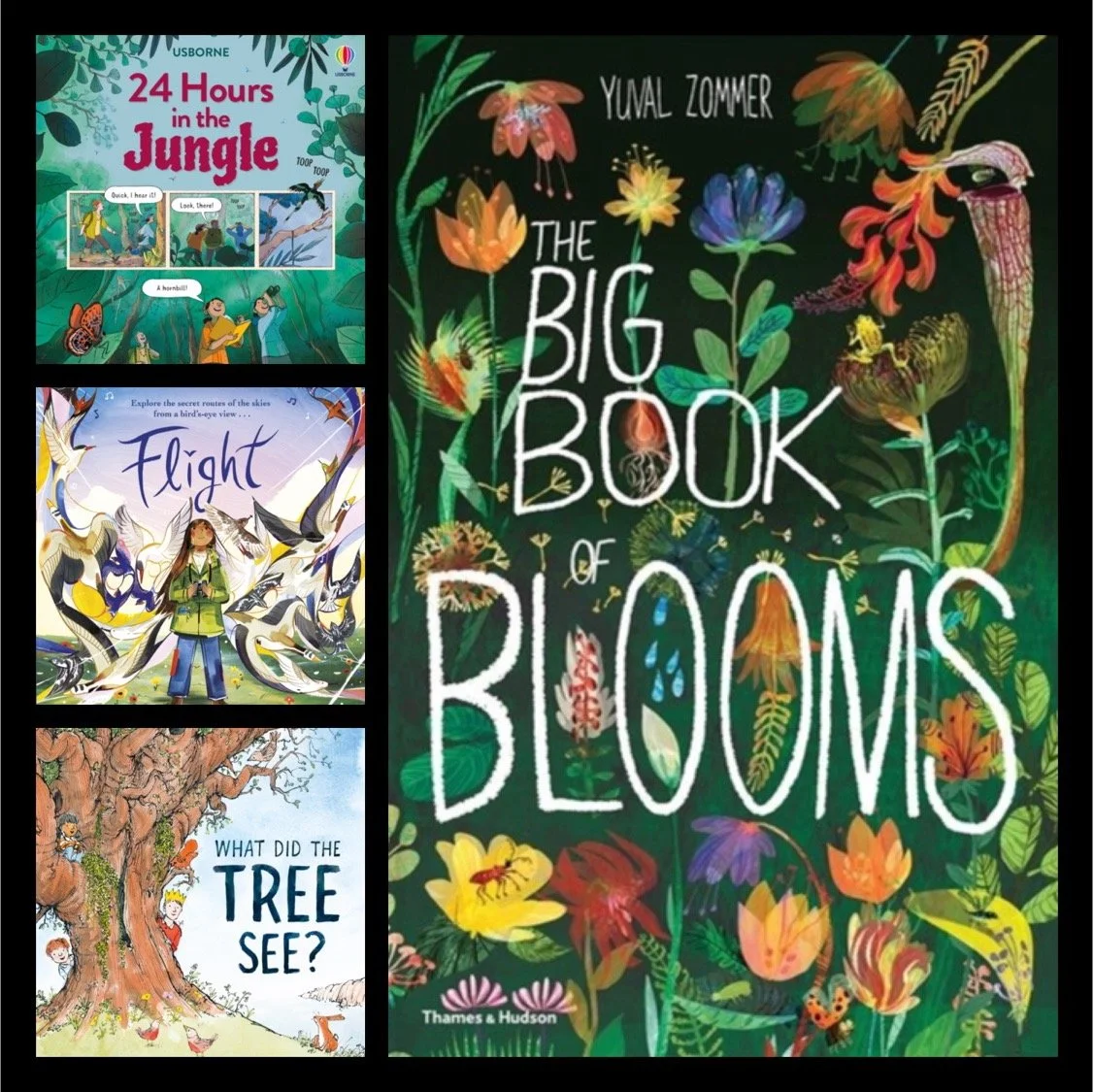 Non Fiction Books for Schools