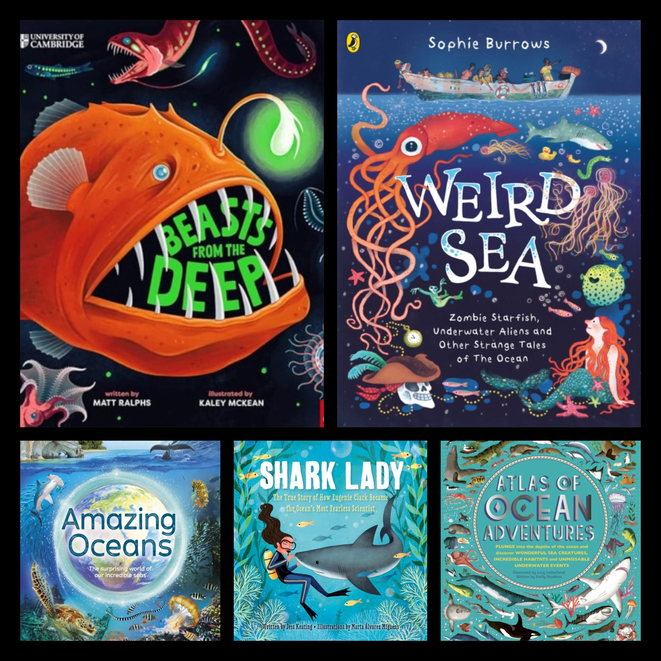 Marine Life & Oceans ~ KS2