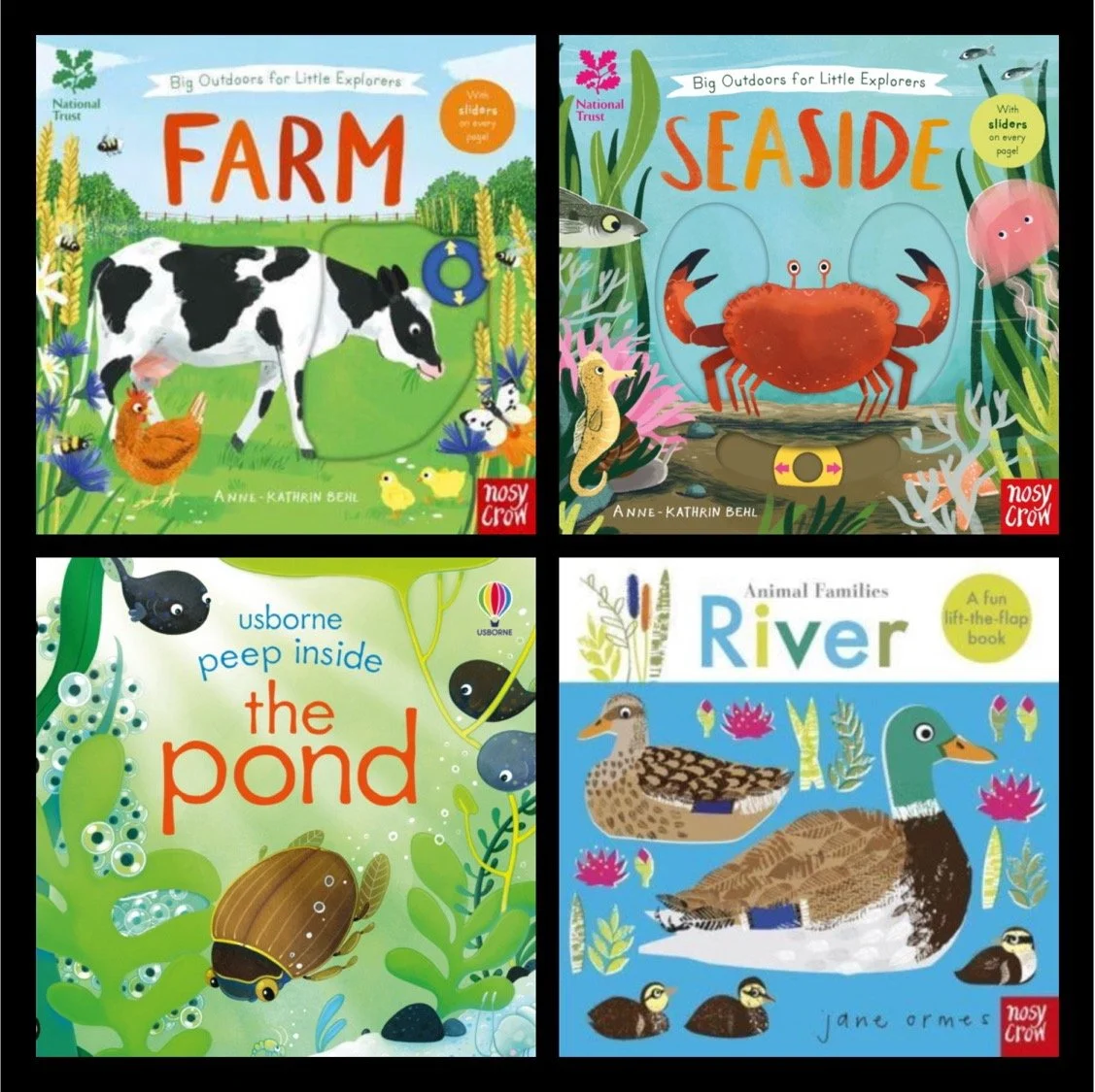 Non Fiction Books for Schools