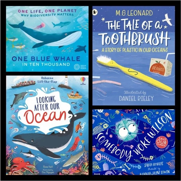Climate Topic Books for KS1