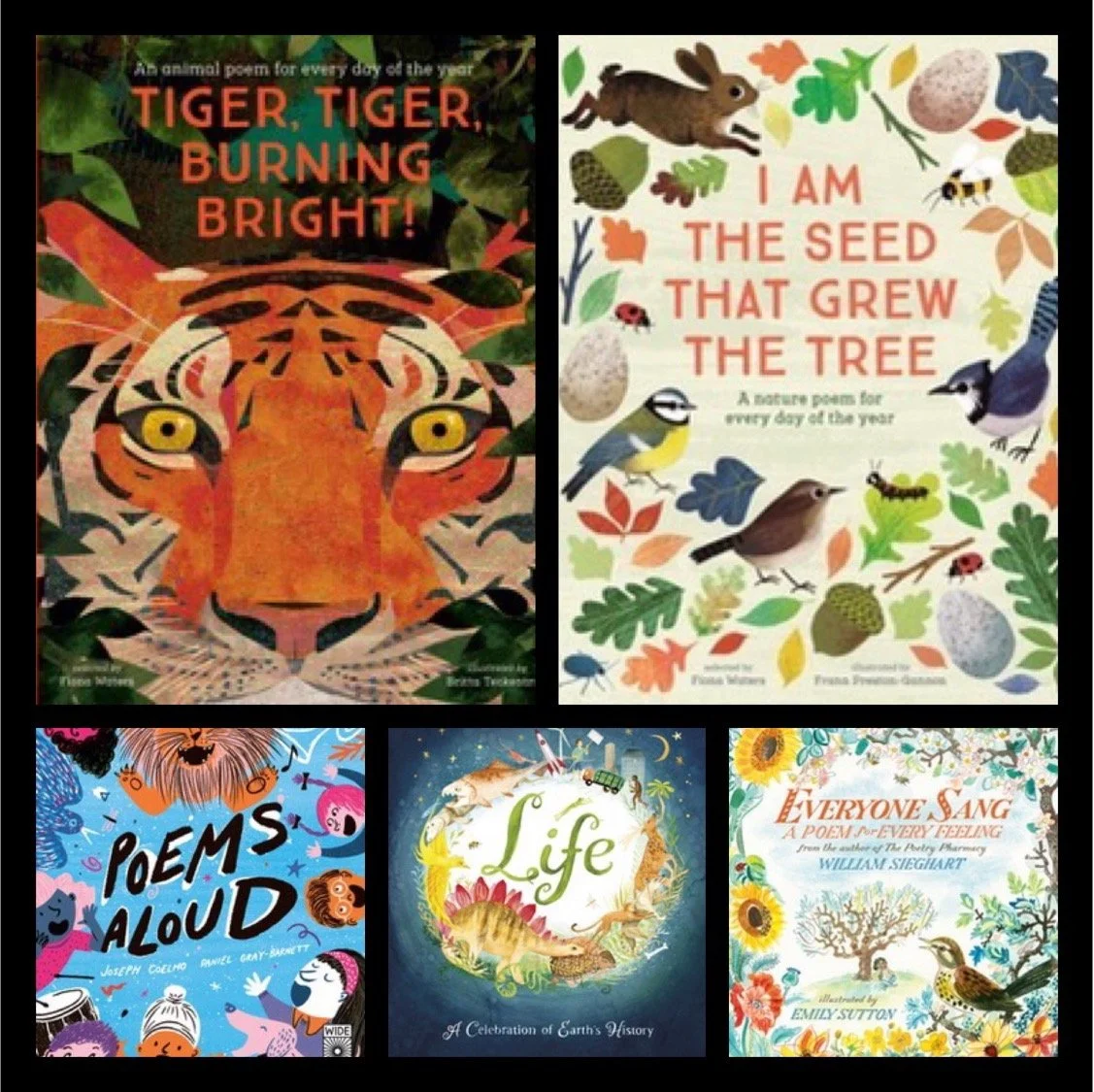 KS2 Poetry Books