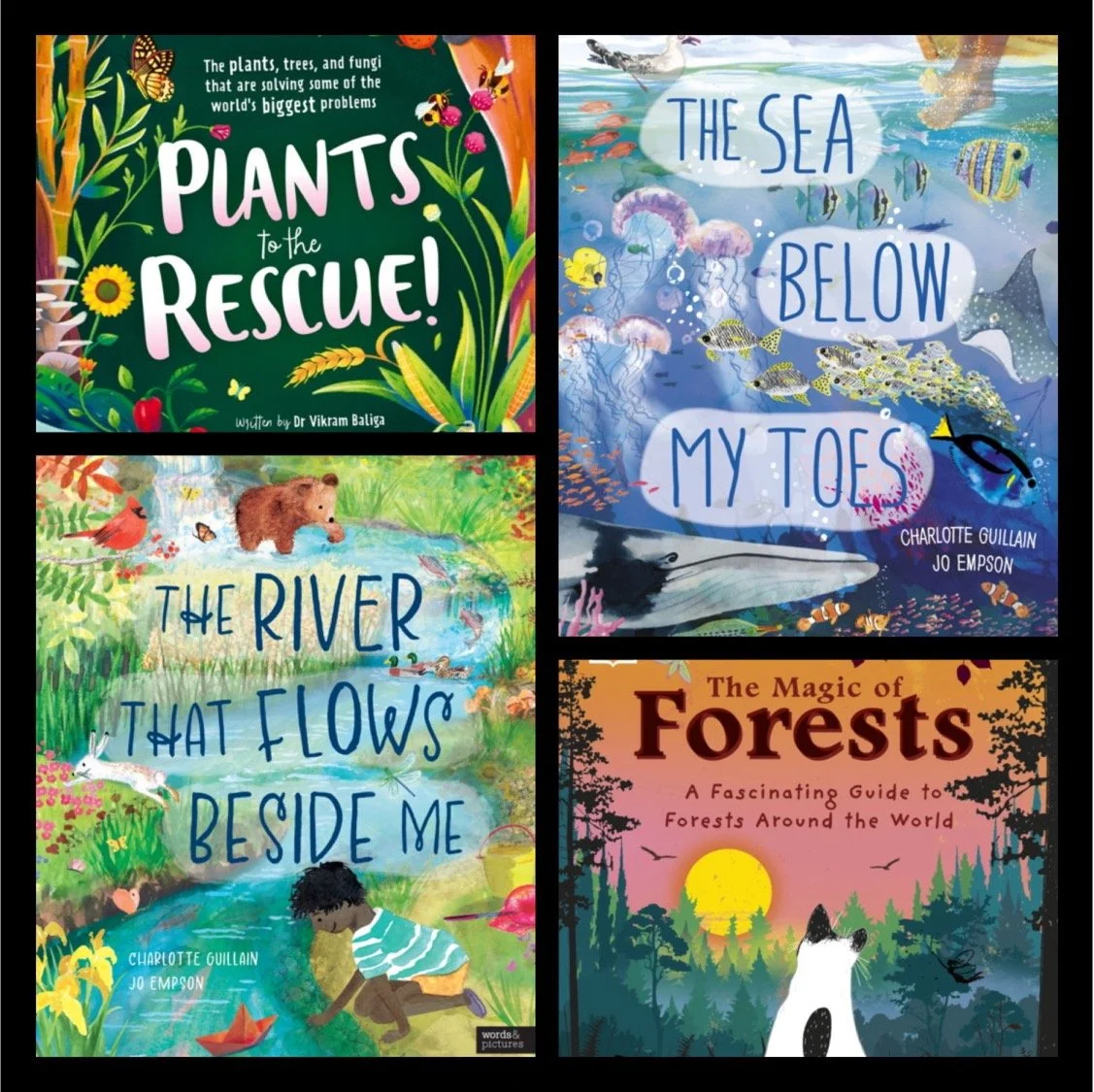 Non Fiction Books for Schools