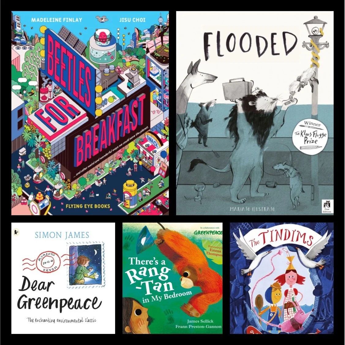 Climate Topic Books for KS1