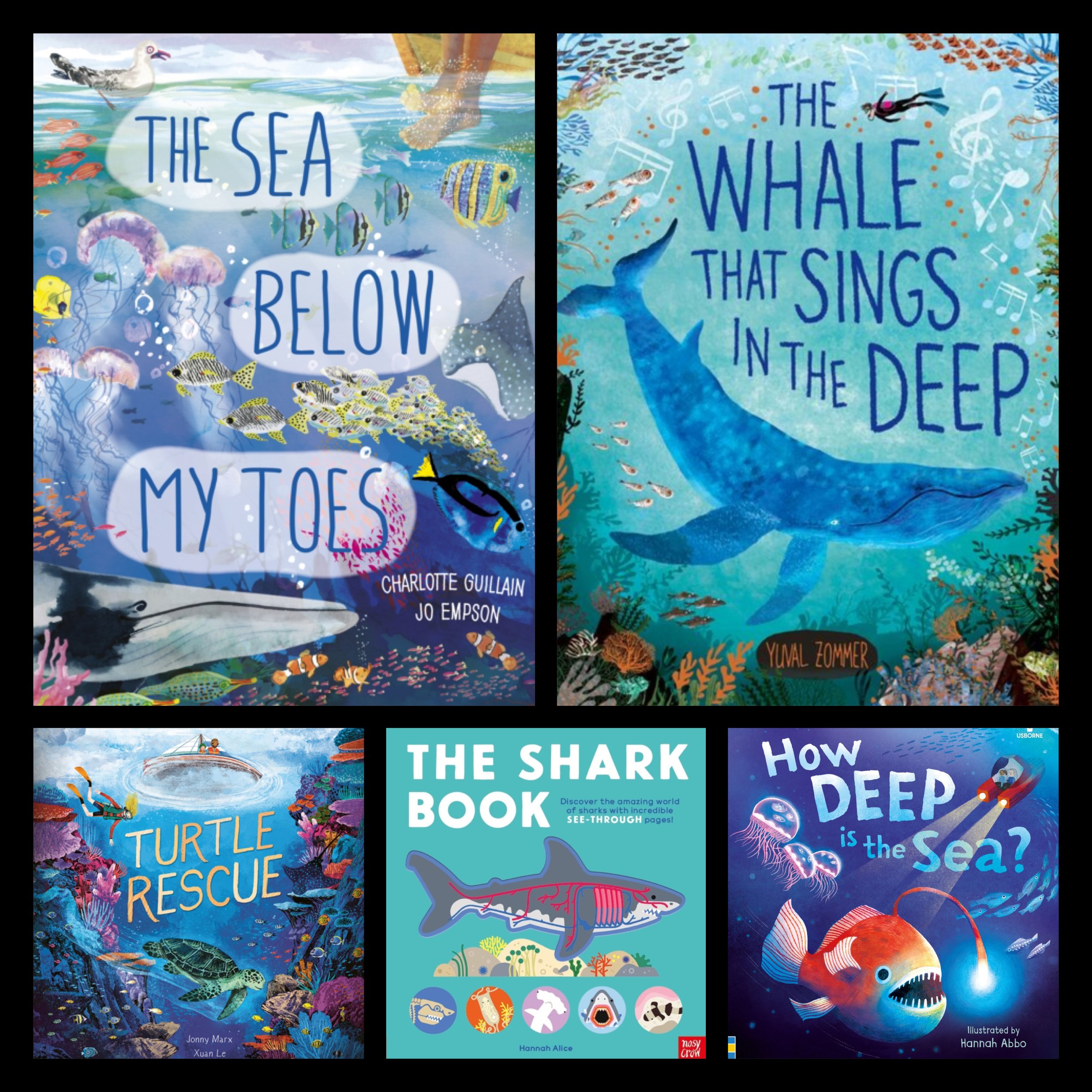 Marine Life & Oceans ~ KS1
