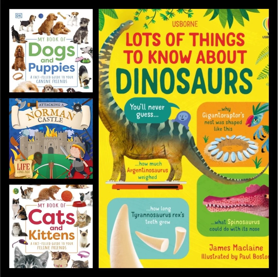 Non Fiction Books for Schools