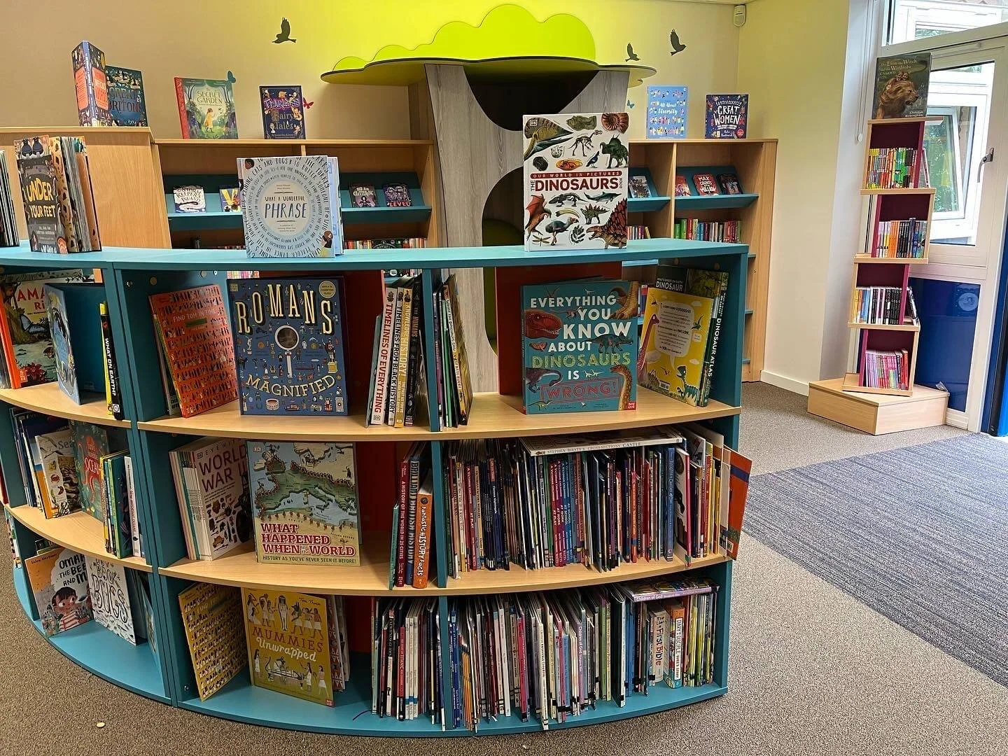 Primary School Library Books. Non Fiction books on display in school library stocked by Chestnut Books.