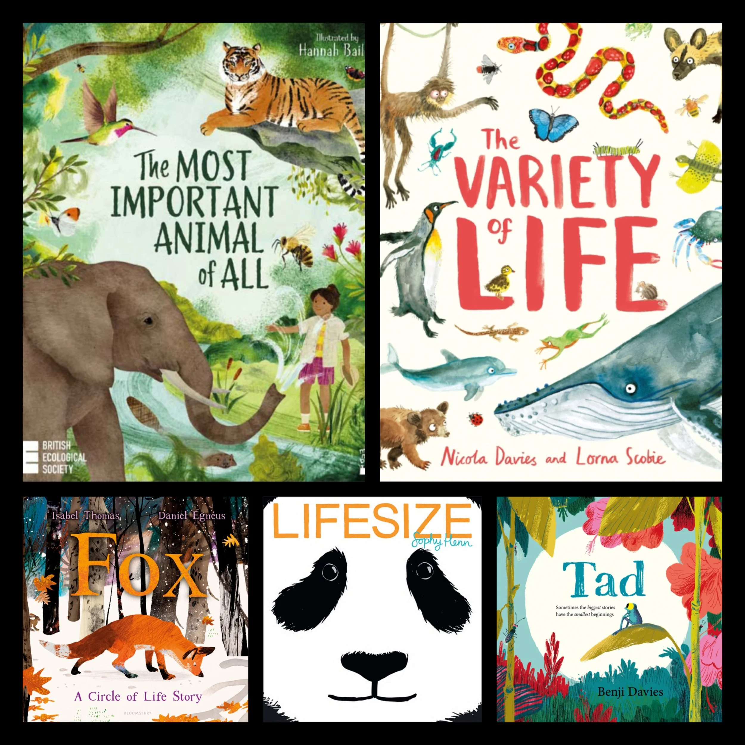Animals ~ KS1