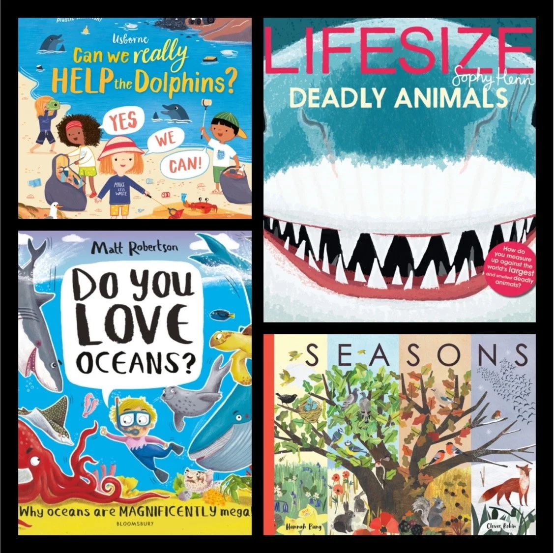Non Fiction Books for Schools