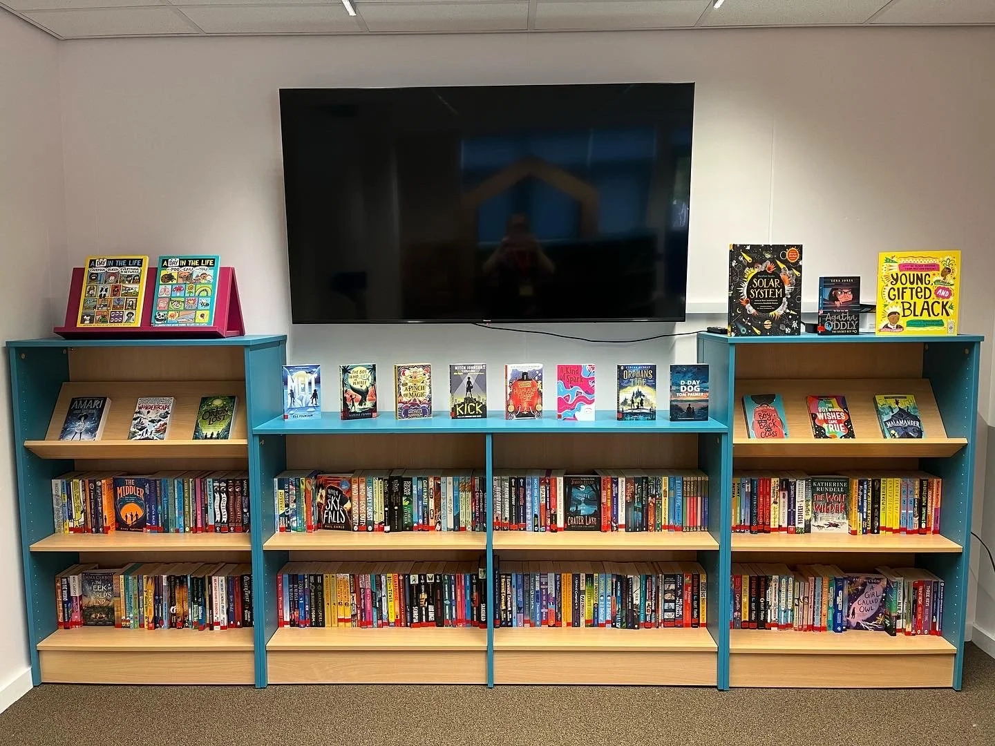 Bookshelves with colorful book covers, a flat-screen TV mounted above, and a carpeted floor background.