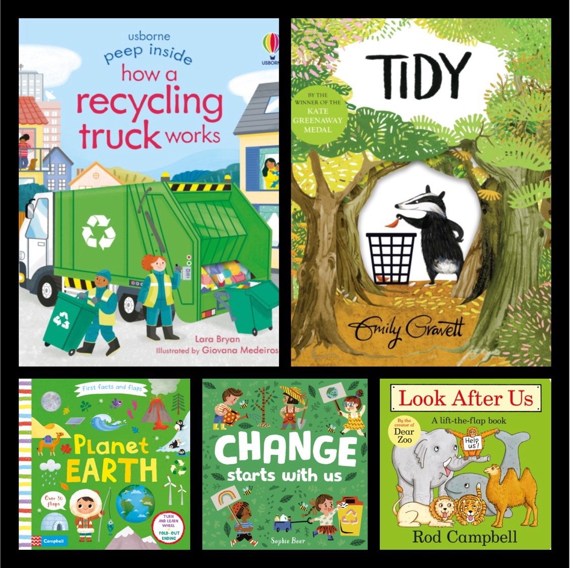Climate Topic Books for EYFS