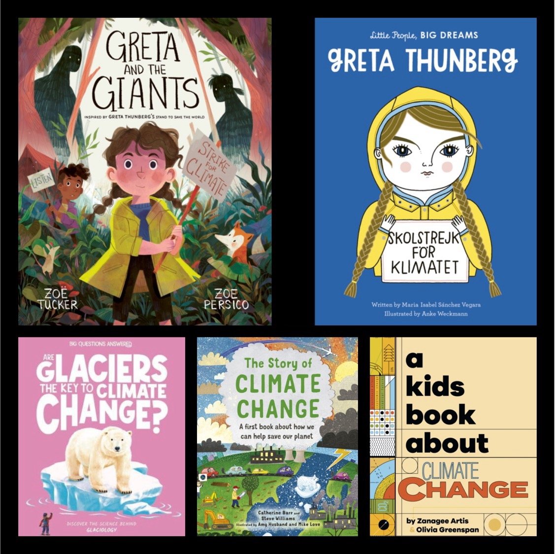 Climate Topic Books for KS1