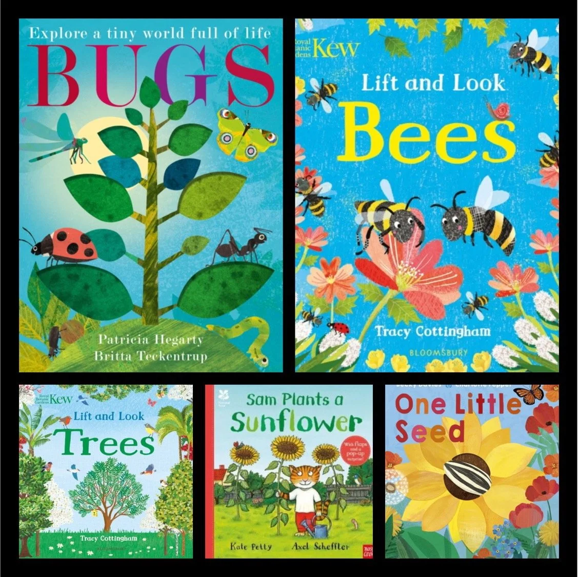 Non Fiction Books for Schools