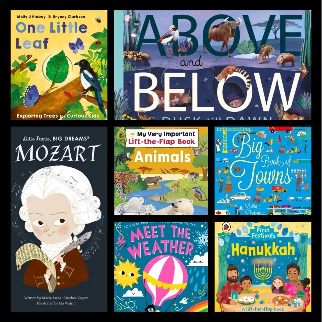 Non Fiction Books for Schools