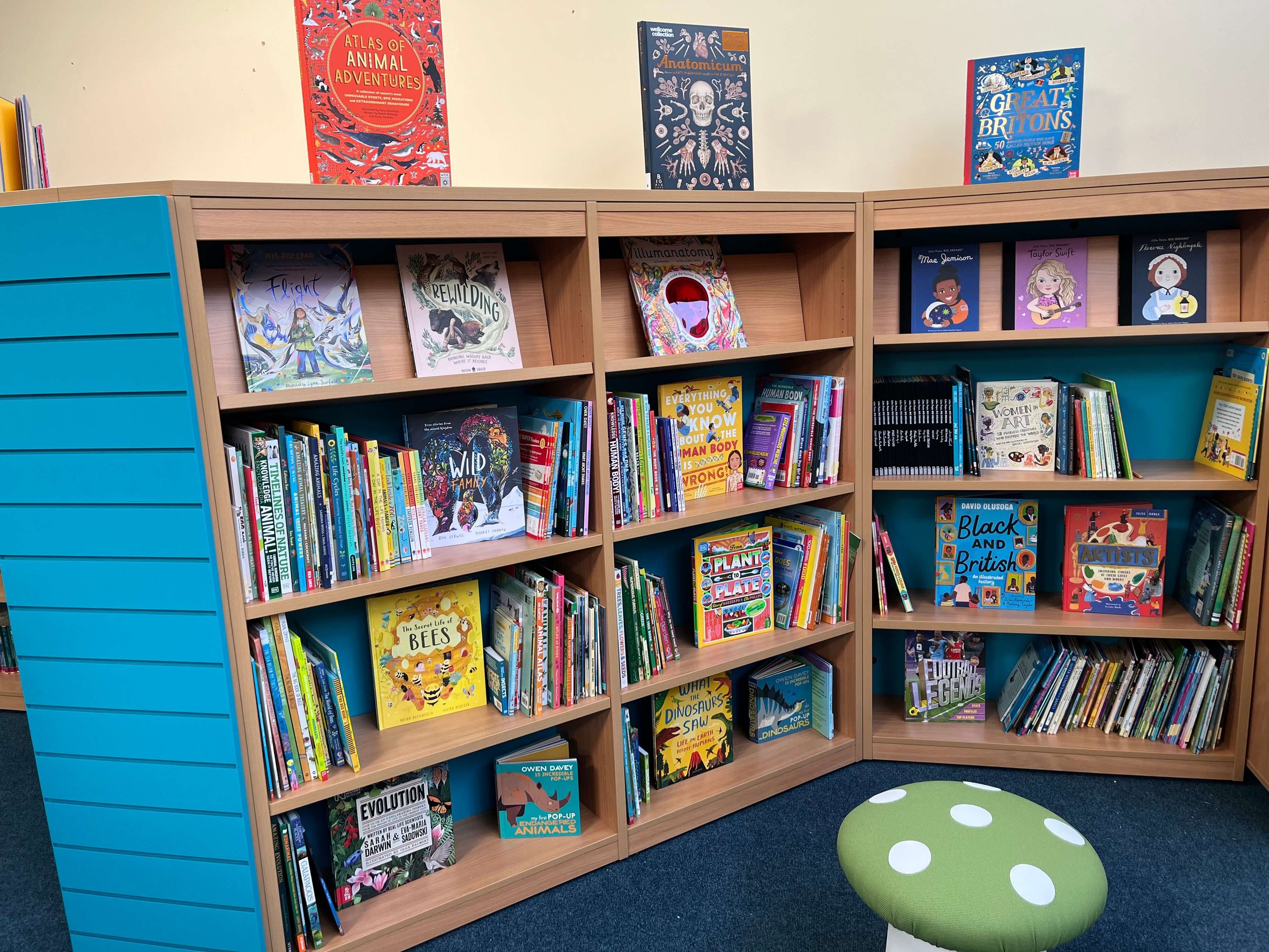 Primary School Library filled with modern and diverse non-fiction books linked to their curriculum and children's interests. 