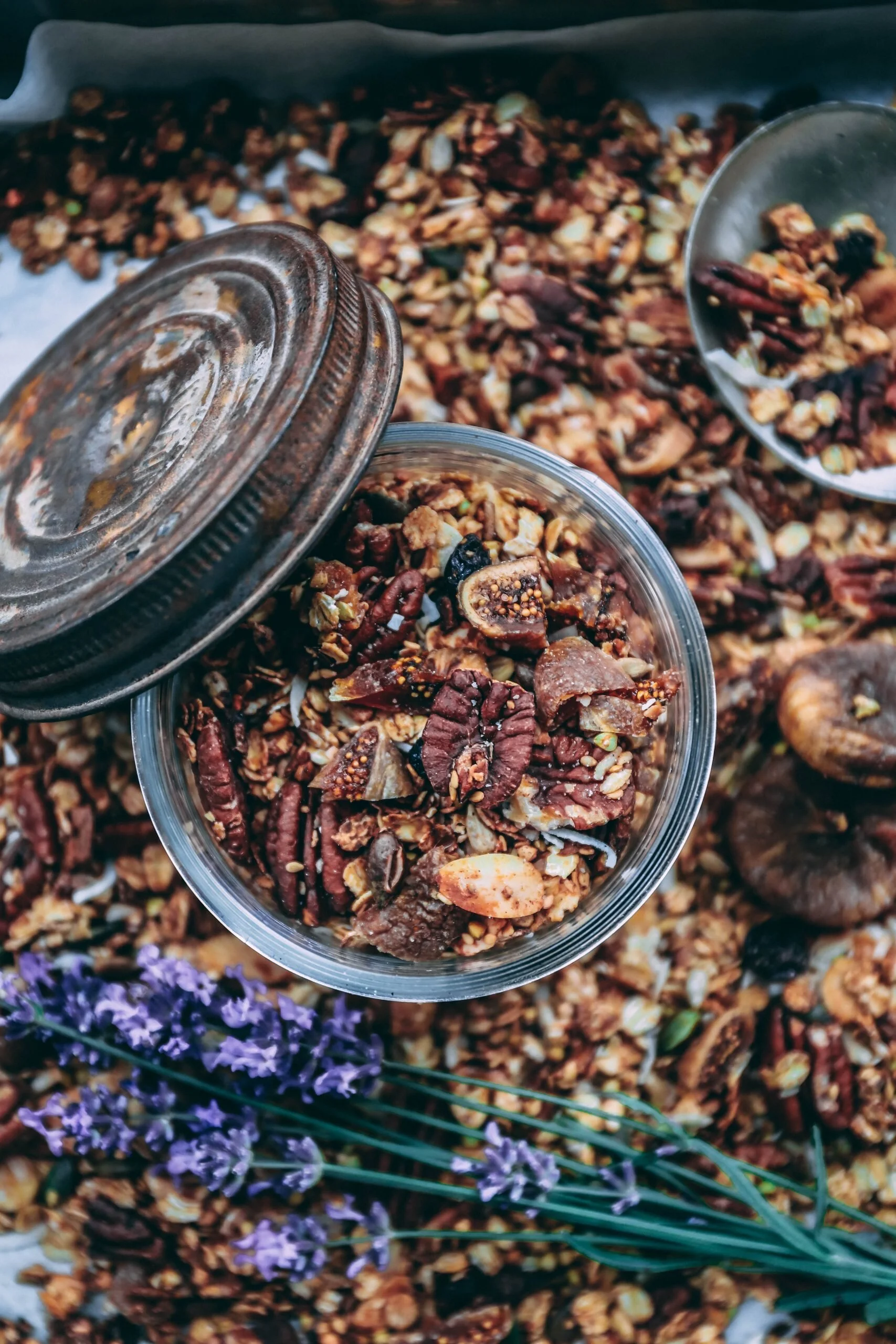 JUDILICIOUSANDNUTRITIOUS_pecan_granola_figs.jpg