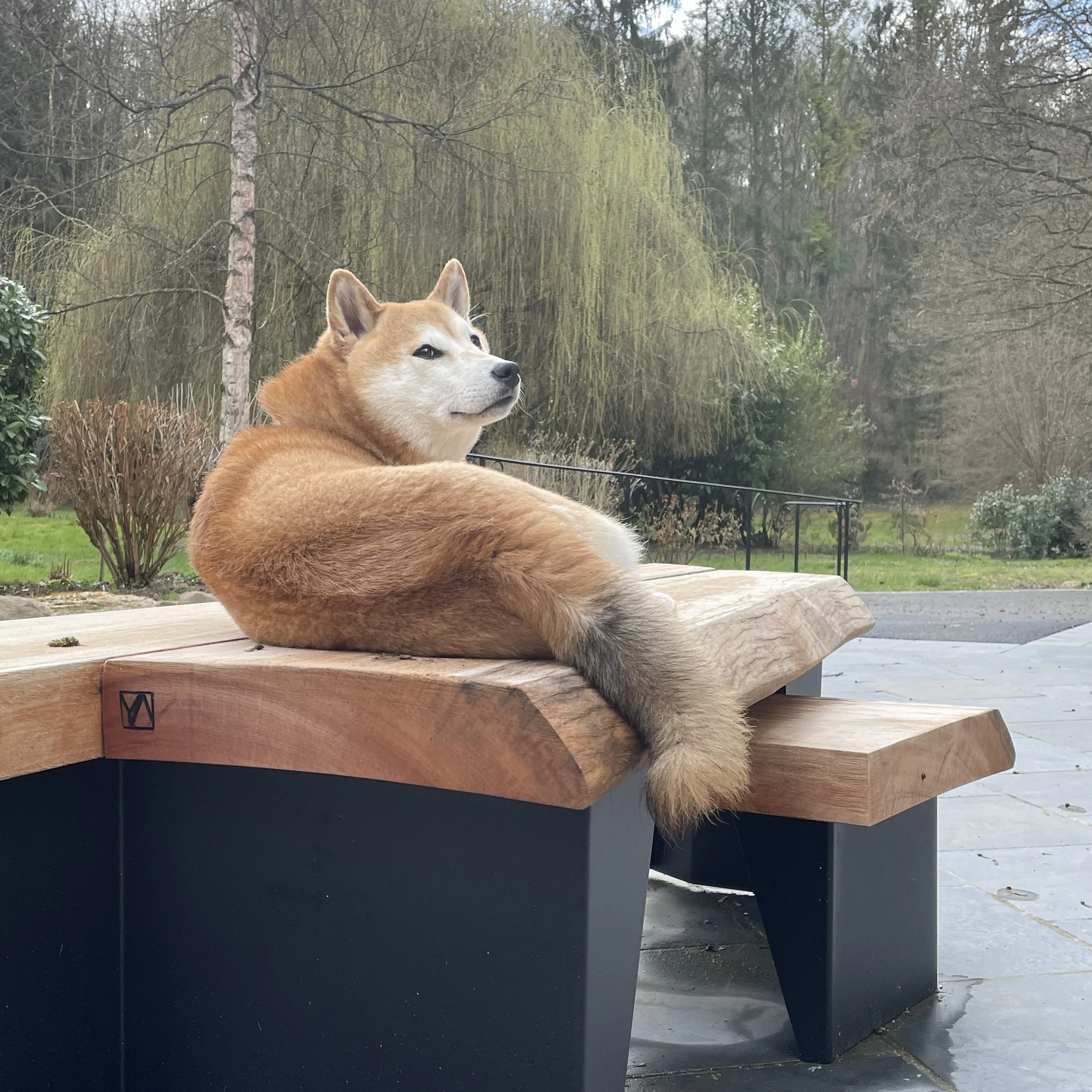 Table basse en Sipo massif sur mesure I ROBERTA 10 | YA-Atelier.jpeg