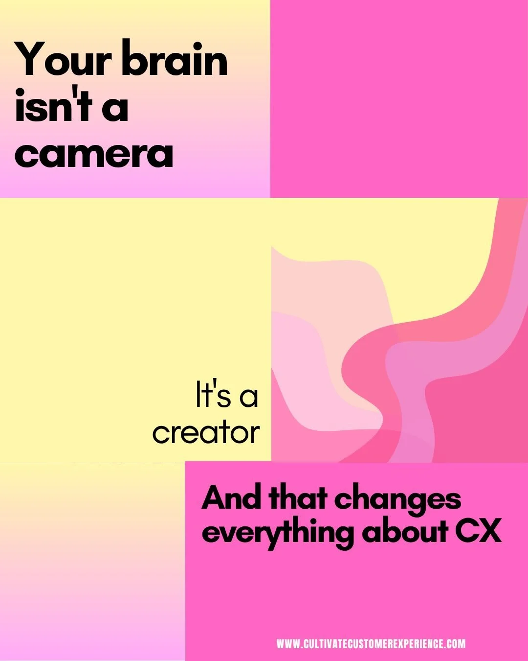 Your customers don&rsquo;t experience your customer journey.

They experience their version of it, constructed by their brain, filtered through their expectations, coloured by their emotional state.

Professor Anil Seth calls it Controlled Hallucinat