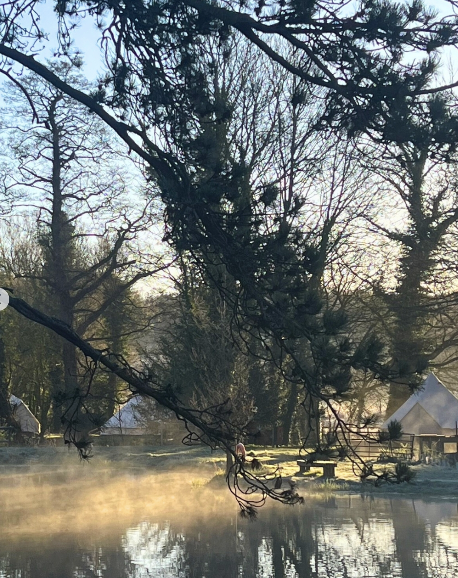 Screen Shot 2026-02-15 at 2.28.56 pm.png