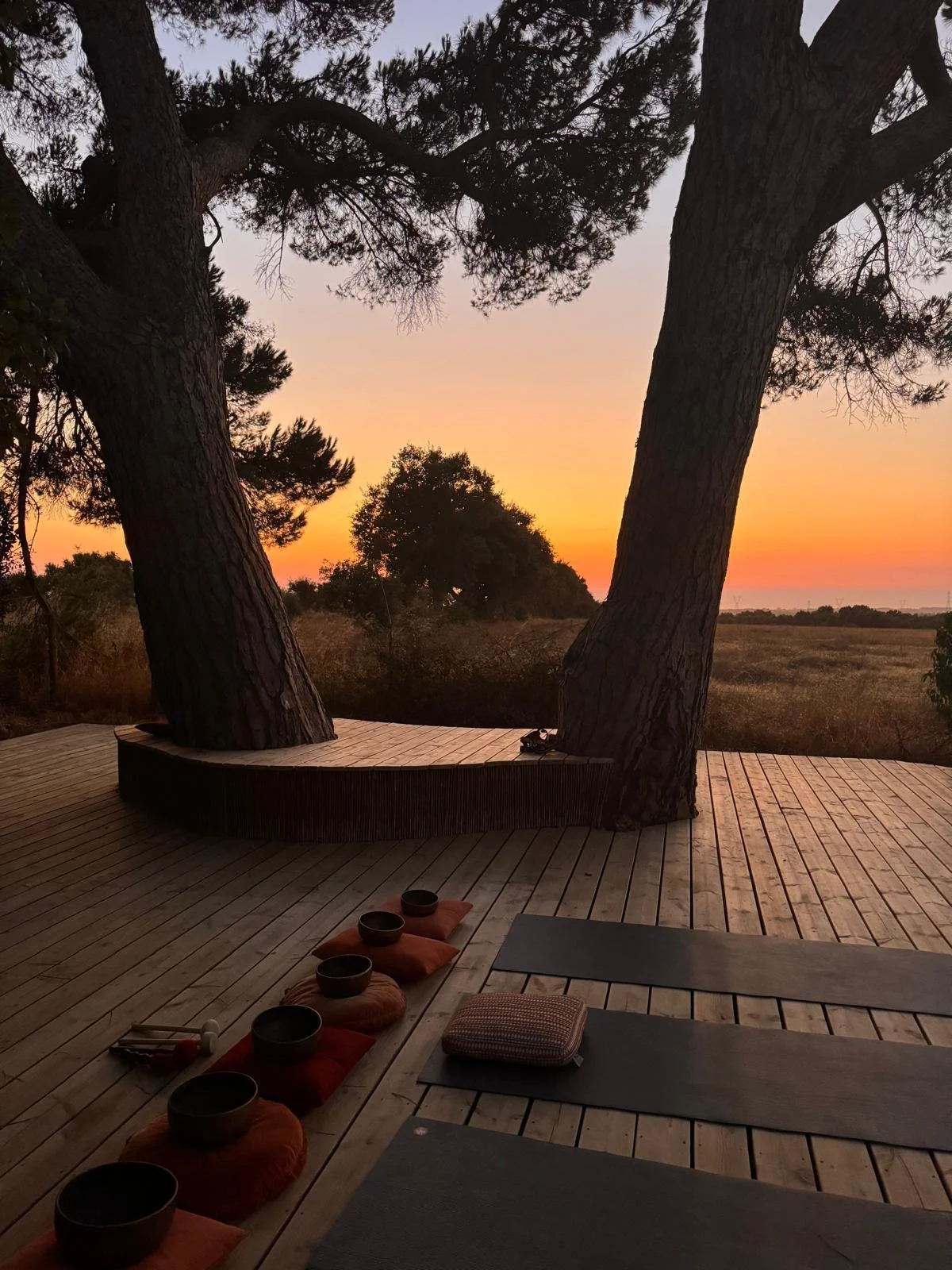 Outdoor deck at sunset - 2.jpeg