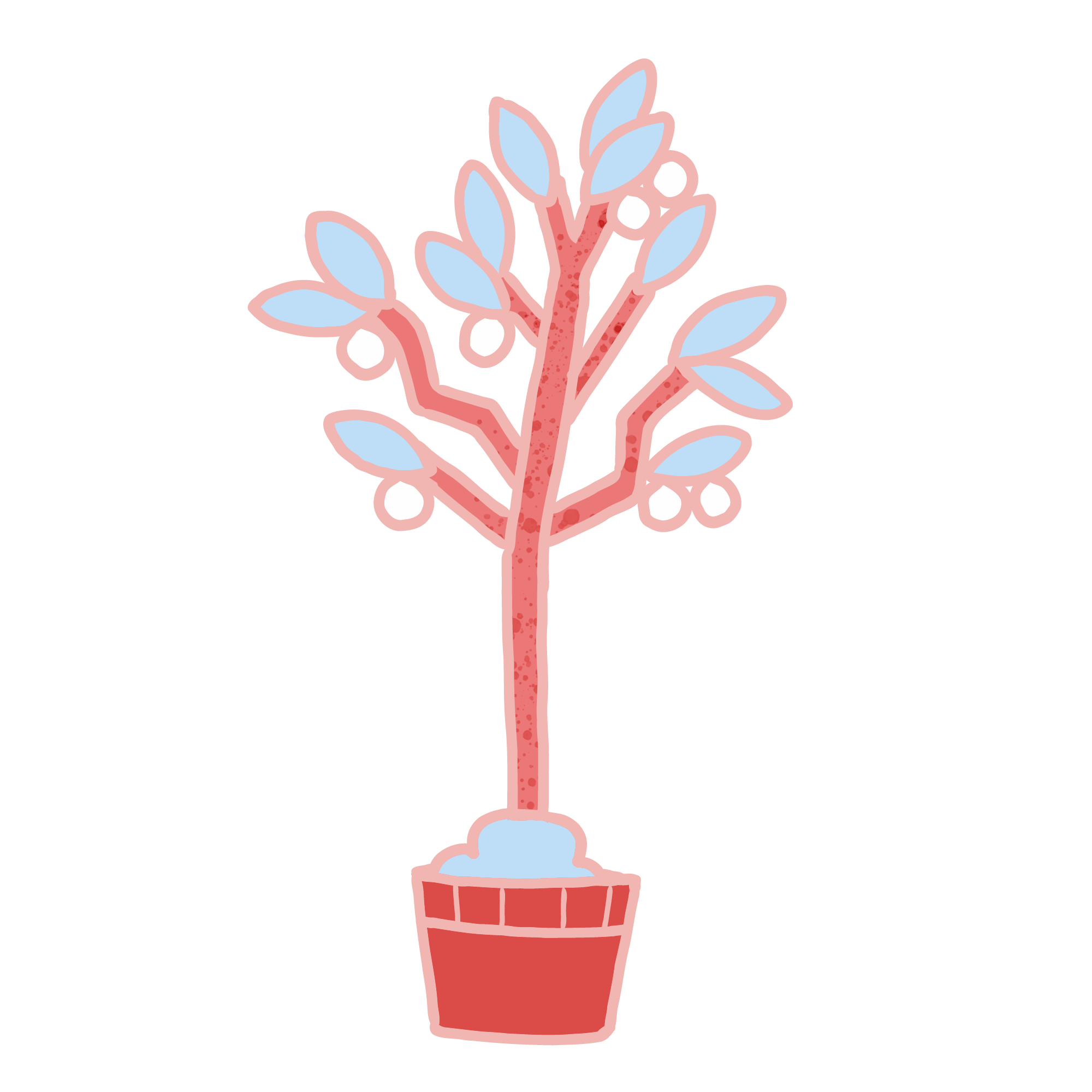 Olive Tree