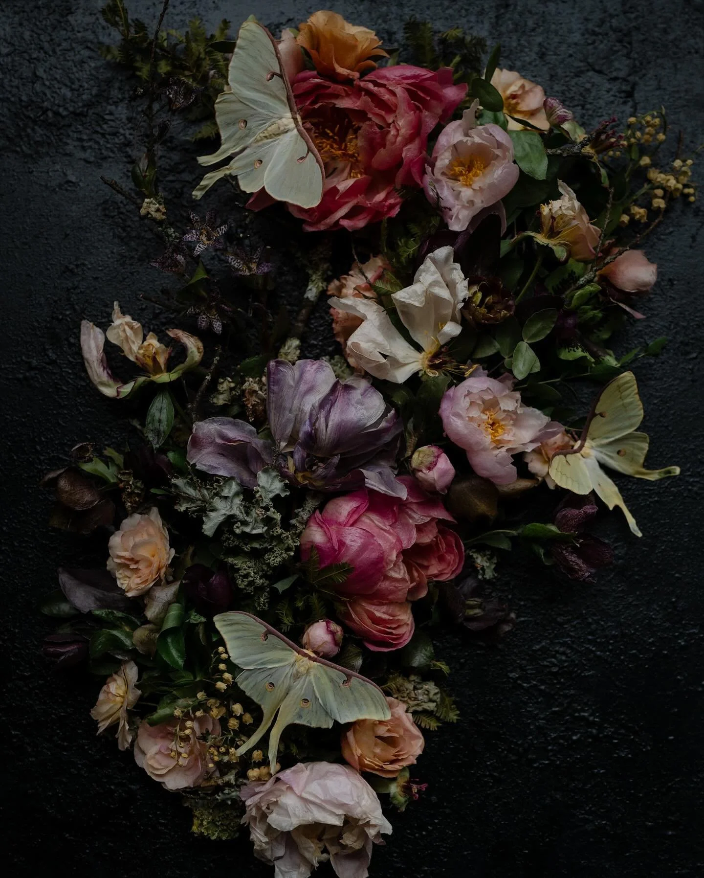 Here is my largest, longest taking to create, and favorite piece that I&rsquo;ve made to date. It took nearly 8 months to create, from painting/texturizing the background, to raising the Luna moths, to collecting/drying the flowers, and foraging for 