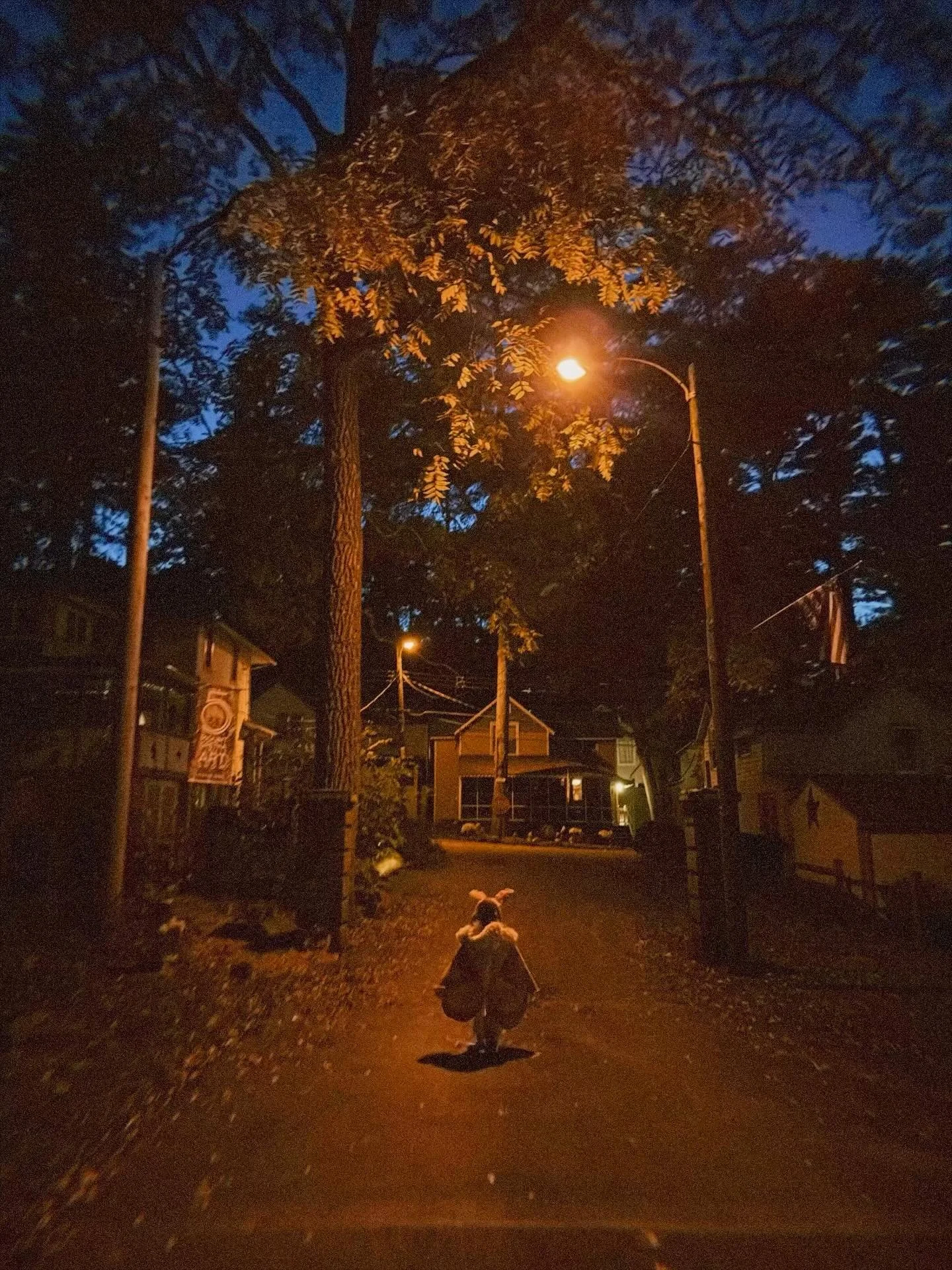 My little moth to the flame. Let the start of the Halloween festivities begin!