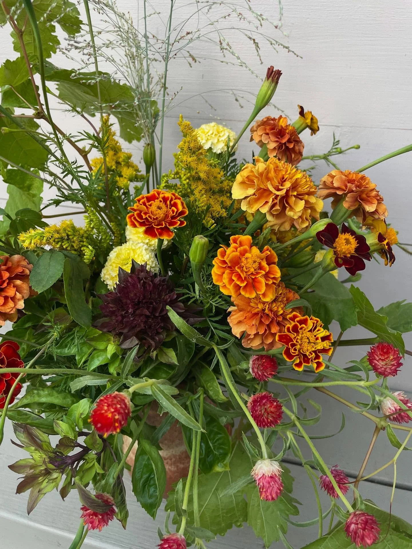 marigolds & basil forever🧡