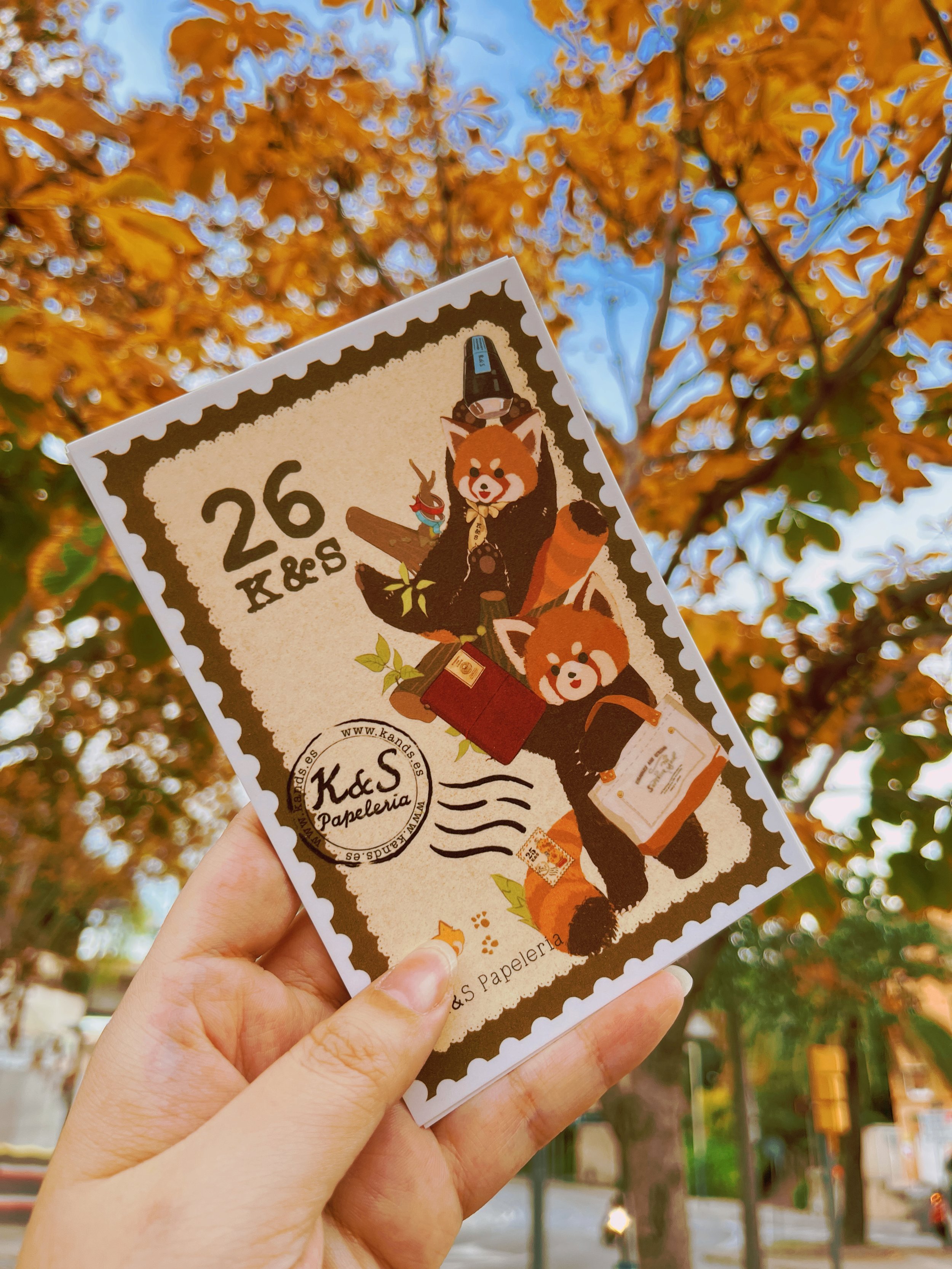 K&S Card 2026 Red Panda